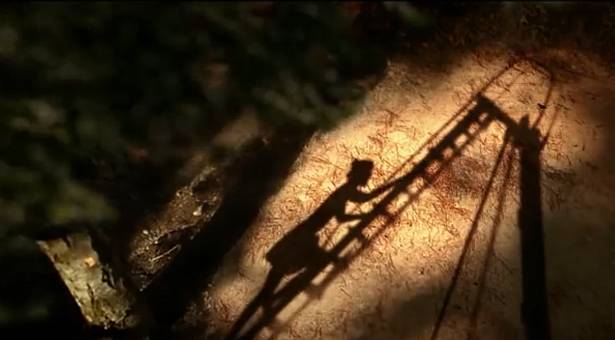 Shadow